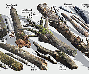 Fallen Trunks from Forest