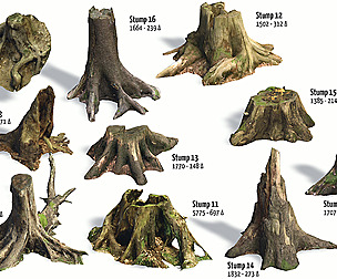 10 Photo-scanned Conifer Stumps