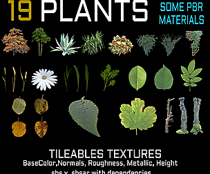 PLANTS 19 some PBR Textures