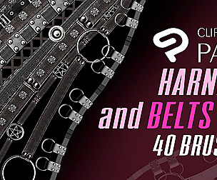 40 harness & belts brushes for Clip studio paint.