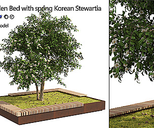 Garden Bed with Korean Stewartia Tree
