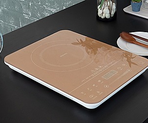 1 burner induction electric stove