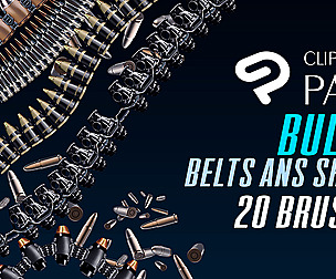 Bullet shell and belt brushes and png materials.
