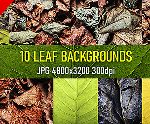 Free dried, burned, fresh leafs texture photos