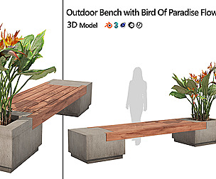 Outdoor bench with Bird Of Paradise flower