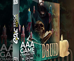 AAA Game Character Druid