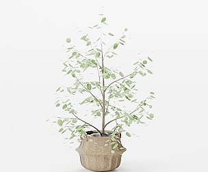 Tree Seaweed Basket