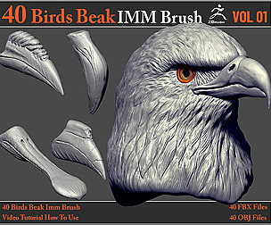 40 Birds Beak IMM Brush + Video How To Use
