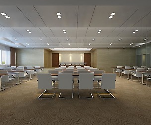 Conference 067