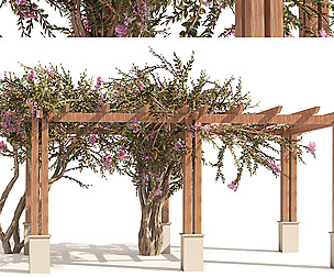crape myrtle pergola