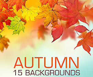 15 Fall leaves background