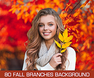 80 Fall Branches backgrounds, Autumn Tree