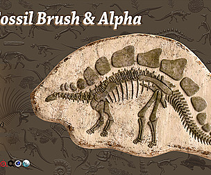 101 Fossil brush & alpha