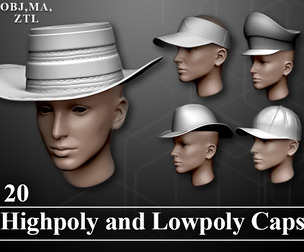 20 Highpoly and Lowpoly caps