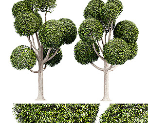 Fancy shaped decorative tree