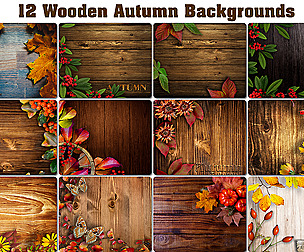 12 Wooden autumn background, Thanksgiving