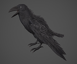 Raven