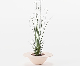 PETAL attendant