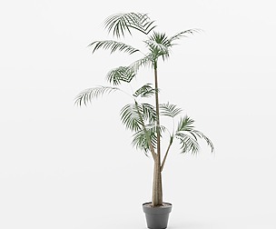 Java Harmony Tree