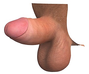 Realistic Small Erect Penis