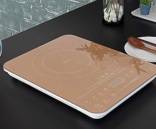 induction electric stove
