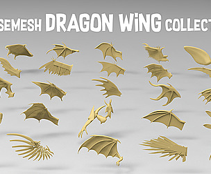 25 basemesh dragon wing collection 3