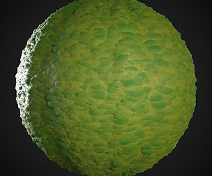 Moss 01