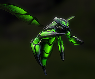 Toxic Wasp