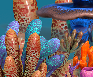 Aqua Plants