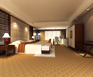 Guest room 010