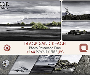 Black Sand Beach - Photo Reference Pack