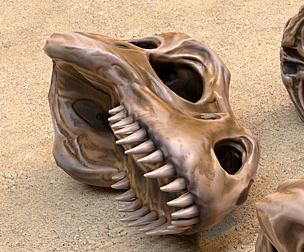 Fossil Bones and Skulls - Collection