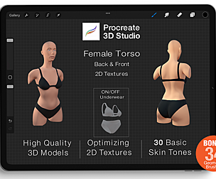 Procreate 3d Model - Torso Female