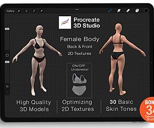 Procreate 3d Model - Full Body Female