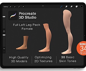 Procreate 3d Model - Left Leg Female