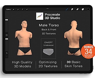 Procreate 3d Model - Torso Body Male