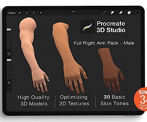Procreate 3d Model - Right Arm male