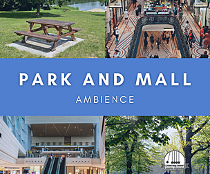 Park and Mall Ambience
