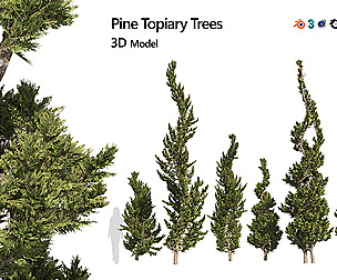 6 conifer topiary trees