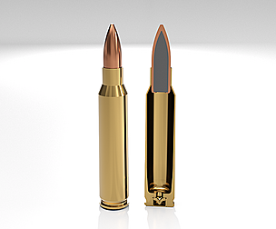 223 cartridge