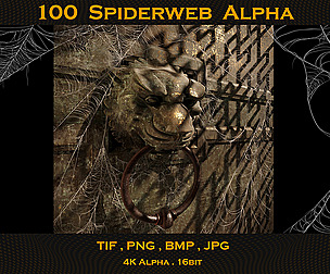 100 Spiderweb Alpha