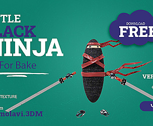 Little Black Ninja