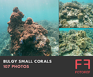 107 photos of Bulgy Small Corals