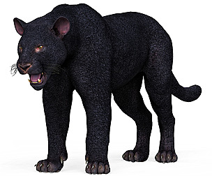Black Panther