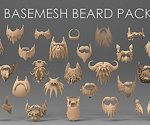 25 basemesh beard pack 2