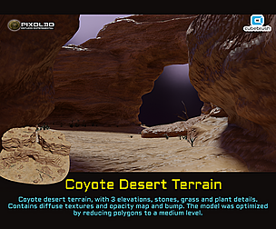 Coyote Desert Terrain
