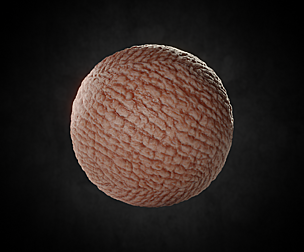 Skin material 02