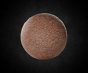 Skin material 08