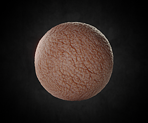 Skin material 09