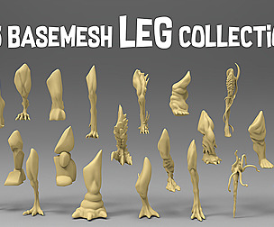 25 basemesh leg collection